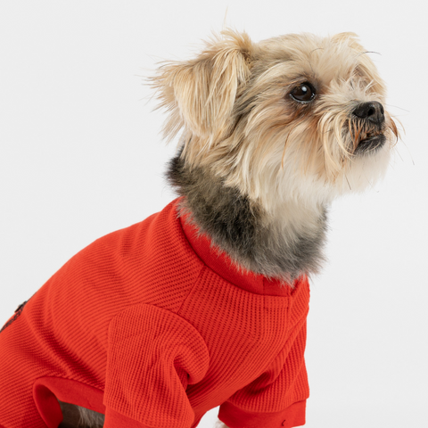 Dog Red  Pajama