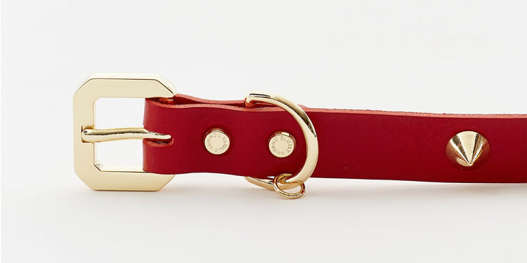 Premium  Golden Spike Red Collar