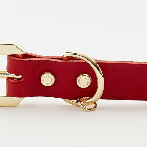 Premium  Golden Spike Red Collar