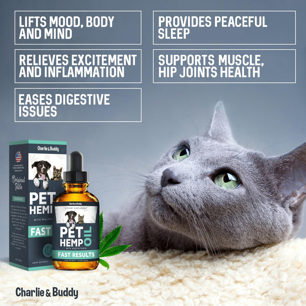 Hemp Oil for Dogs