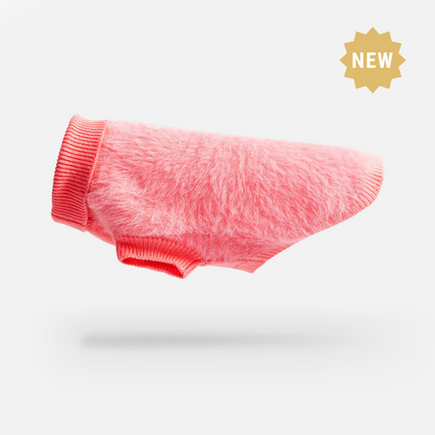 Dog Pink Sweater