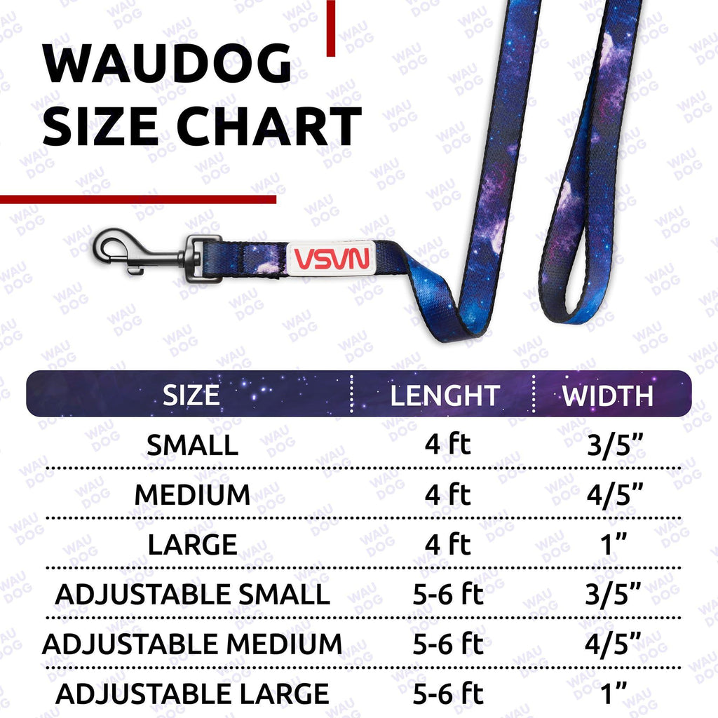 Dog Leash for Small & Medium Dogs