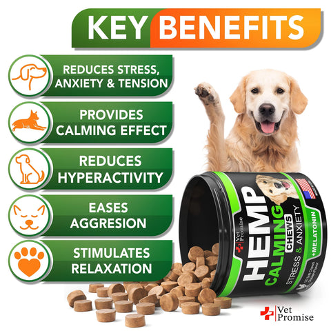 Hemp Calming Chews for Dogs