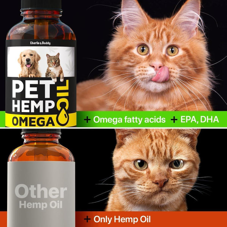 Hemp & Salmon Oil for Dogs