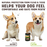 Prevention Chewable for Dogs