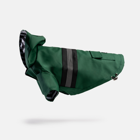 Dog Green Raincoat