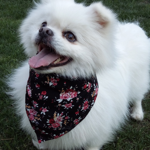 Adjustable Triangle Bandana for Pets