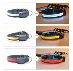 Solar Charge Reflective LED Dog Collar