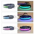 Solar Charge Reflective LED Dog Collar