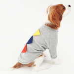 Comfortable Apparel for Your Dog