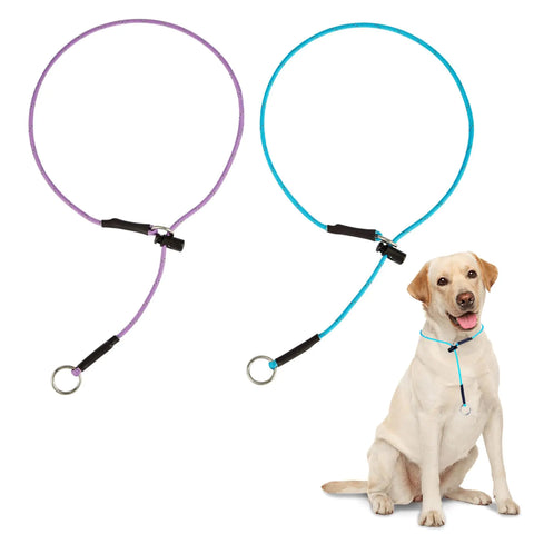 Paracord No-Pull Training Collar