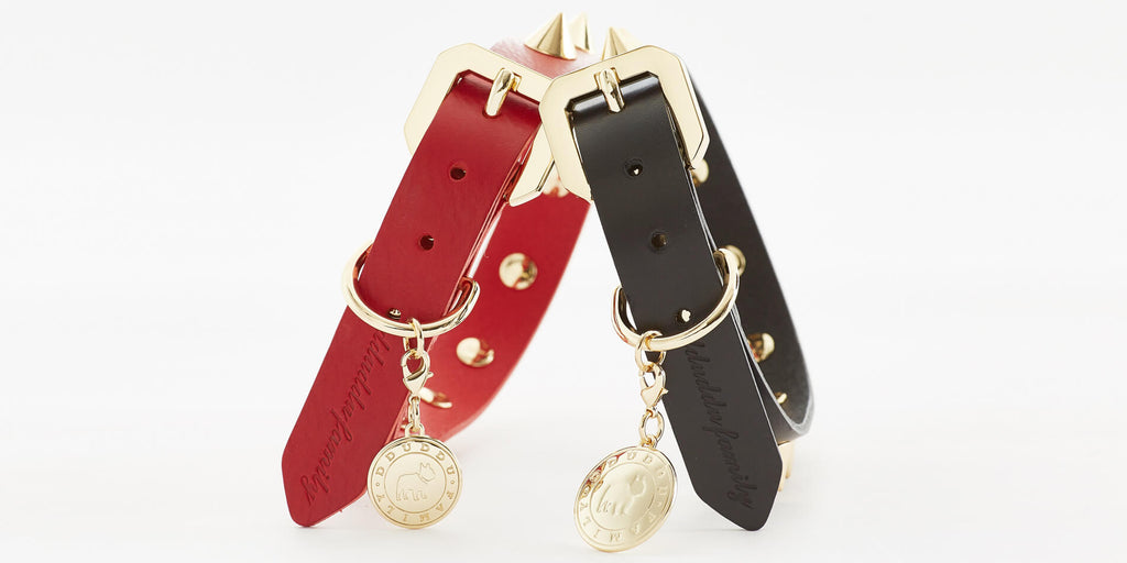 Premium  Golden Spike Red Collar