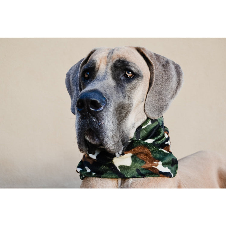 Camo Dog Scarf