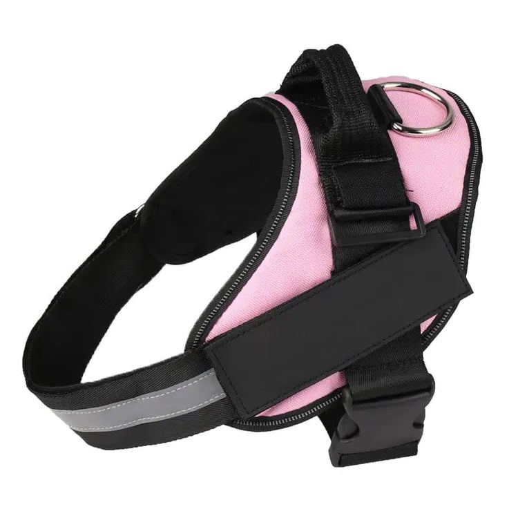 Personalized No Pull Harness
