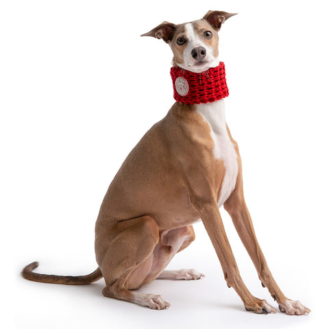 Dog Red Chalet Tube Scarf