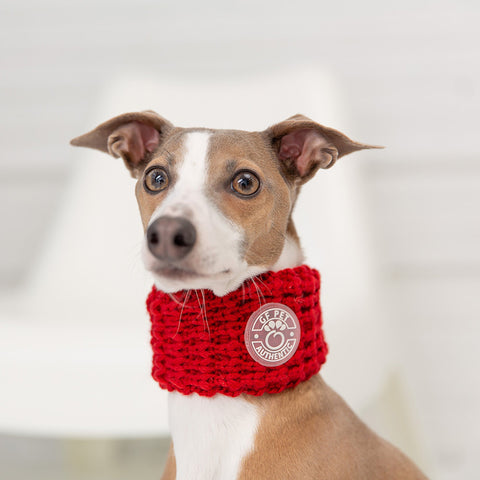 Dog Red Chalet Tube Scarf