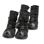 Dog Black Boots
