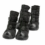 Dog Black Boots