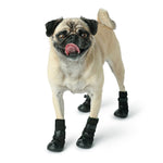 Dog Black Boots