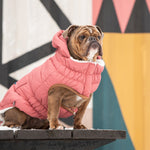 Ultra-Warm &  Stylish Dog Jacket