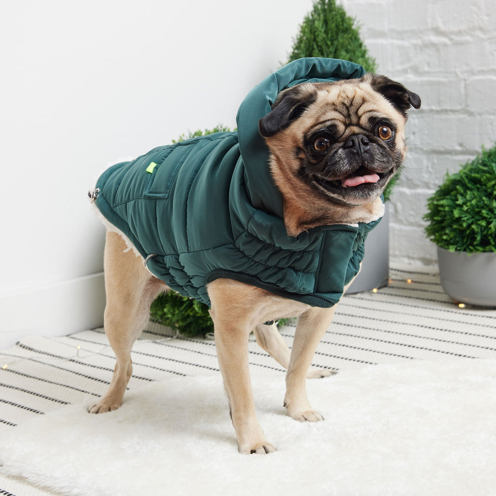 Dogs Super Puff Parka