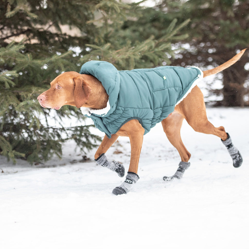 Dogs Super Puff Parka