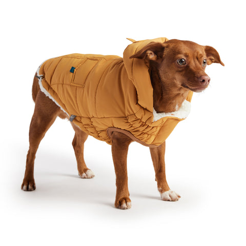 Ultra-Warm Dog Jacket