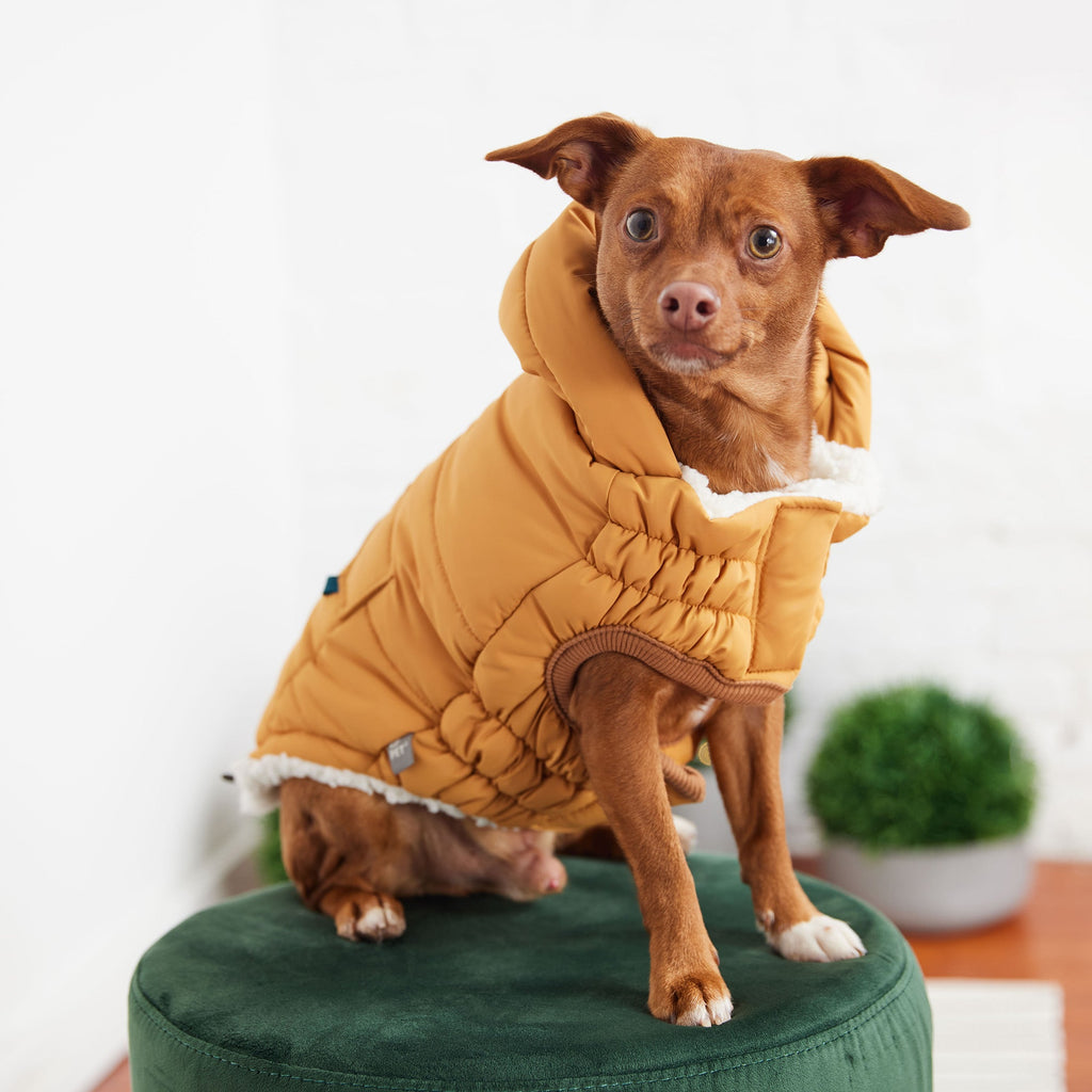 Ultra-Warm Dog Jacket