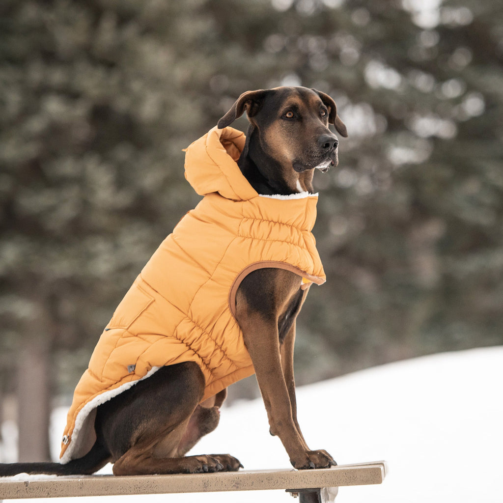 Ultra-Warm Dog Jacket