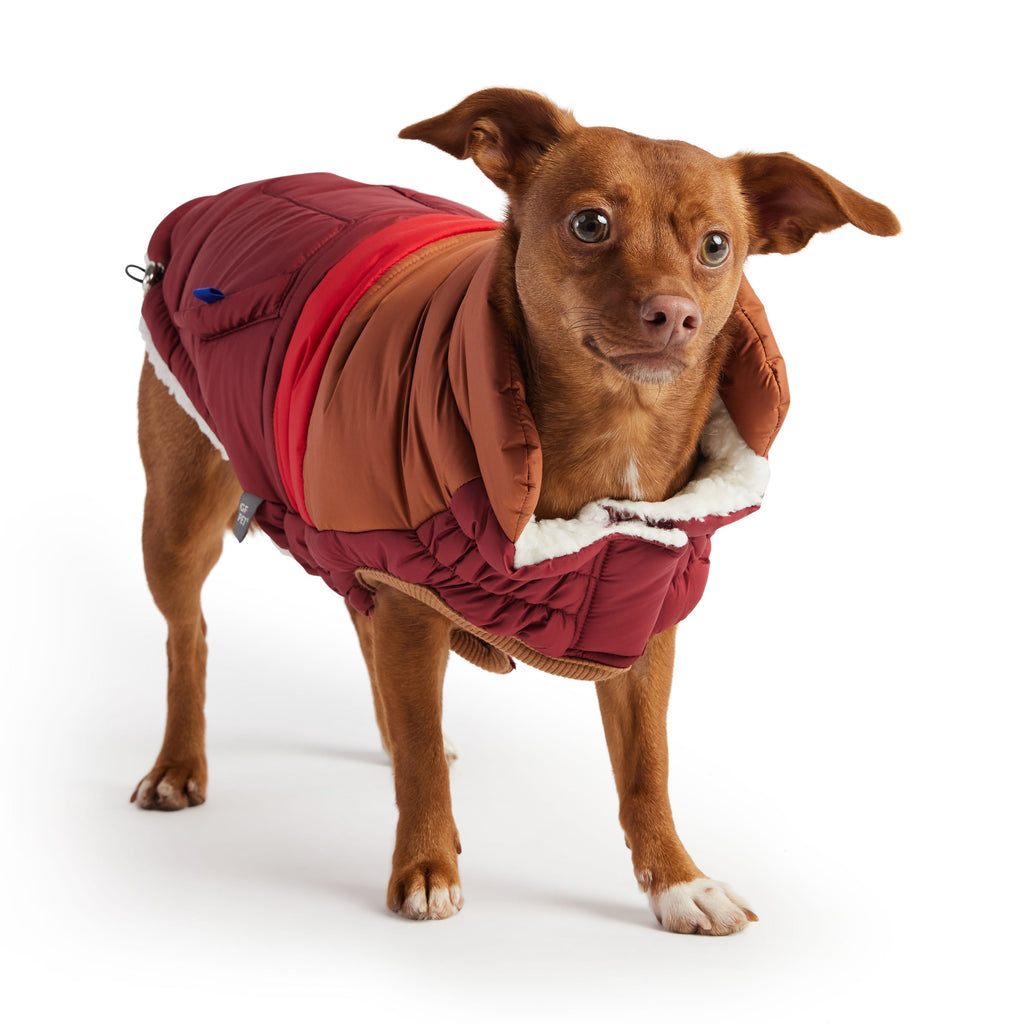 Dog  Dark Red Retro Puffer