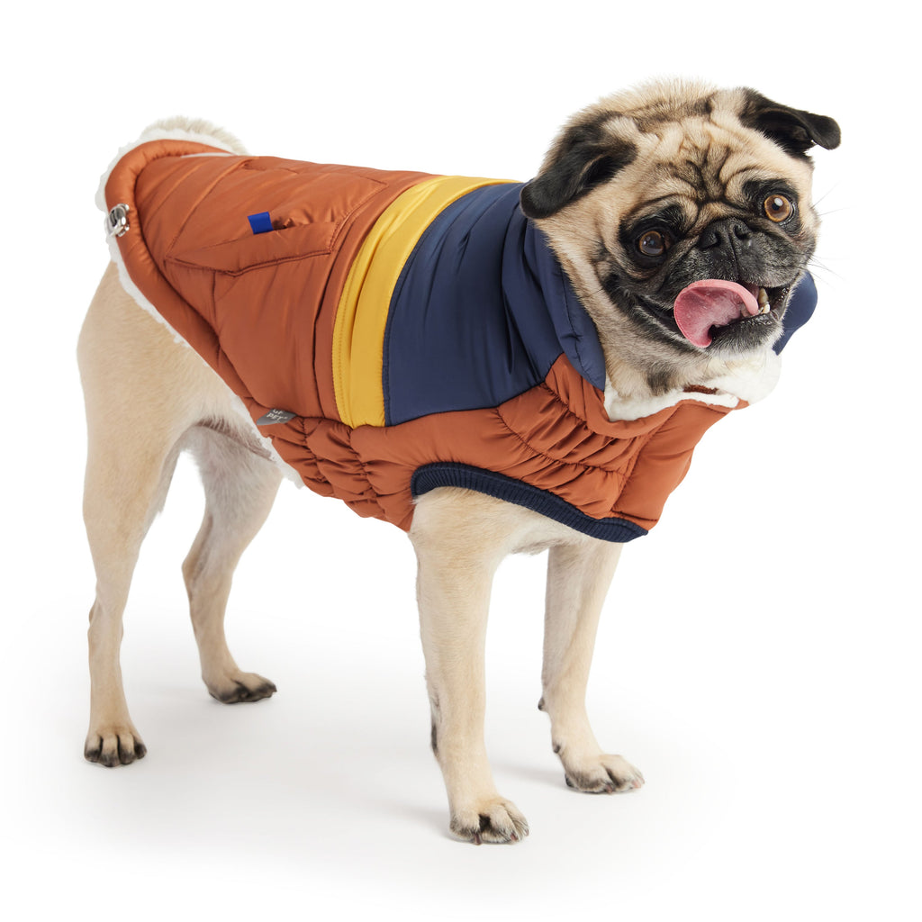 Stylish & Warm Dog Jacket