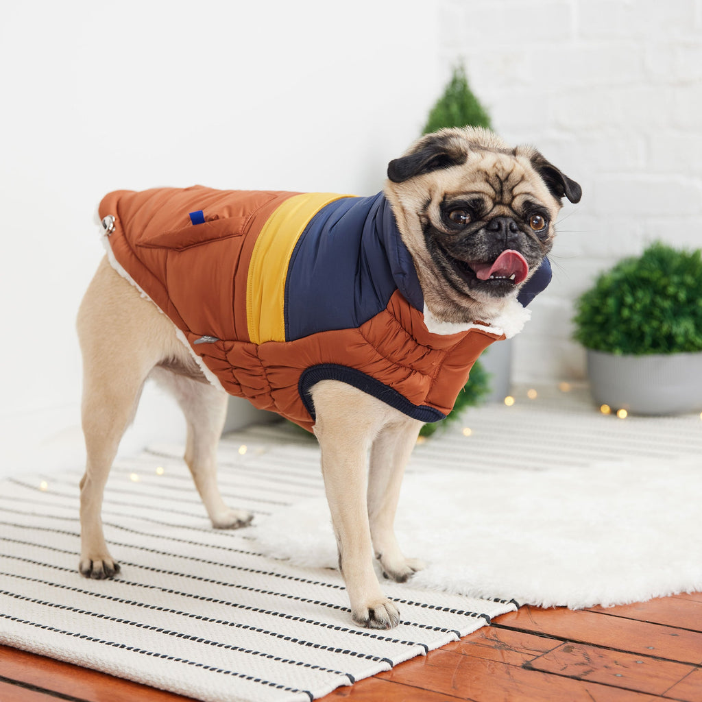 Stylish & Warm Dog Jacket