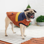 Stylish & Warm Dog Jacket