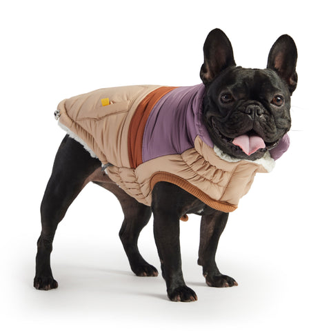 Dog Sand Retro Puffer