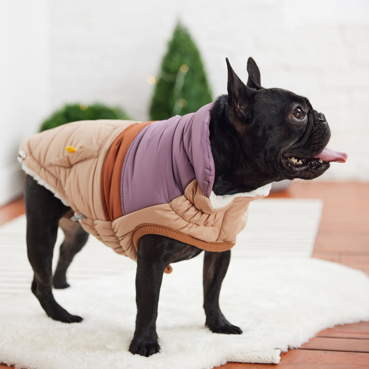 Dog Sand Retro Puffer