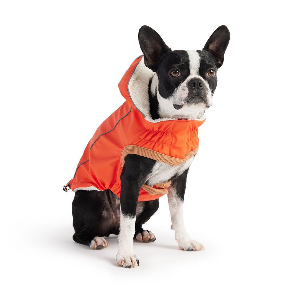 Dog Orange Insulated Raincoat