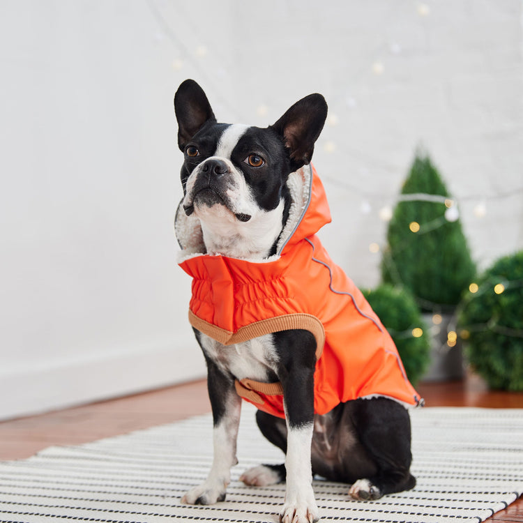 Dog Orange Insulated Raincoat