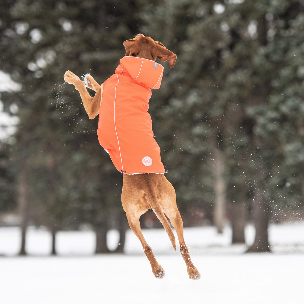 Dog Orange Insulated Raincoat