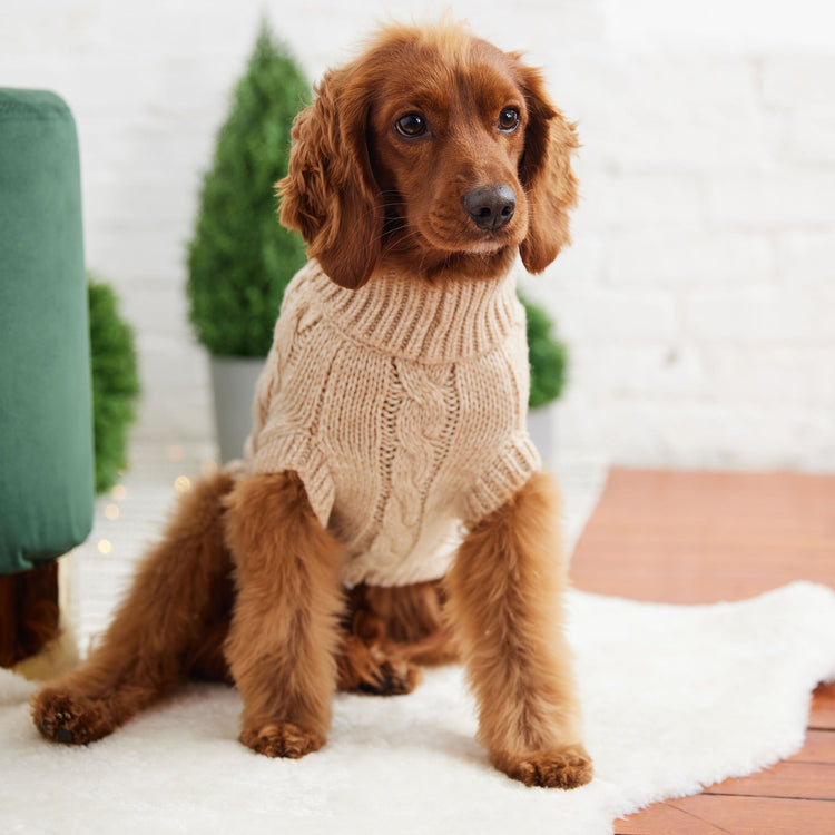 Dog Chalet Sweater Oatmeal