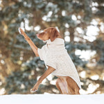 Dog Chalet Sweater Oatmeal