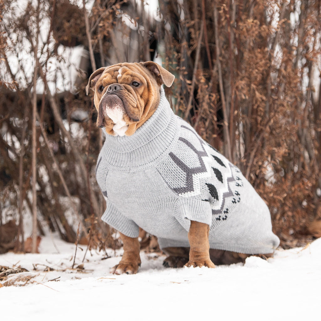 Dogs Grey Sweater