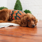 Dog Heritage Sweater