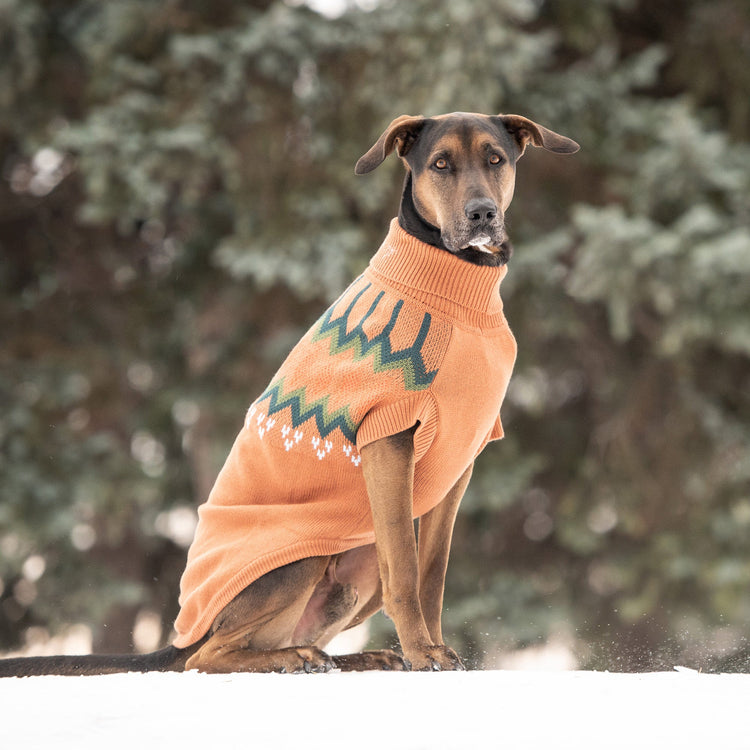 Dog Heritage Sweater