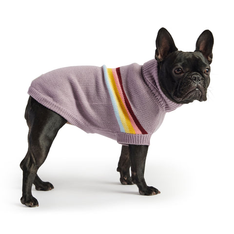 Dog Trendy Turtleneck for  Sweater