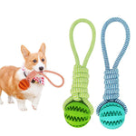 Durable Rubber Ball Chew Toy