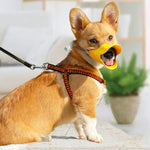 Silicone Duck Muzzle Mask for Small Dogs