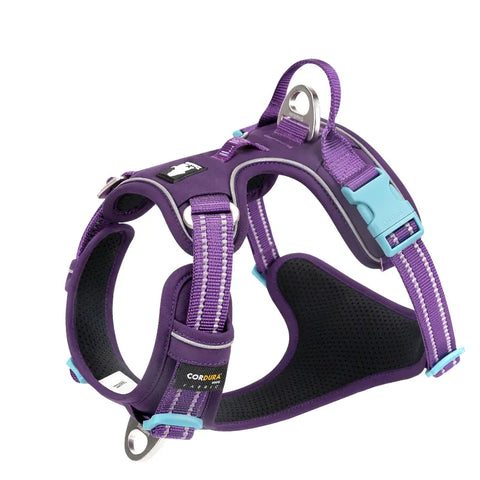 Reflective Dog Harness with Rope