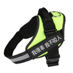 Personalized No Pull Harness