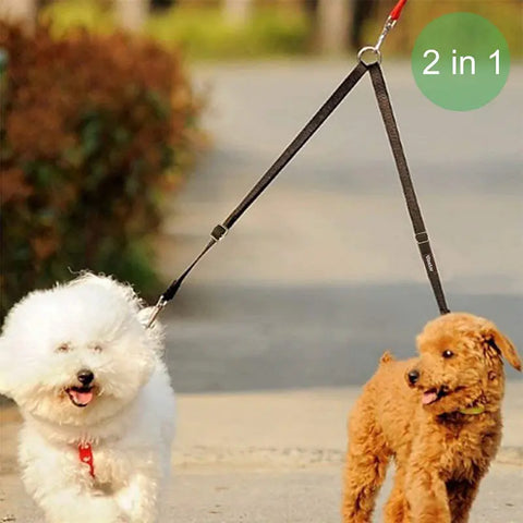 Dual Headed Dog Leash