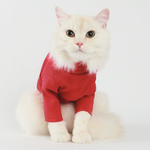 Stylish & Comfortable Pet Apparel